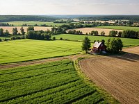 Можно ли сдавать сельхозземлю в субаренду или перенаем?