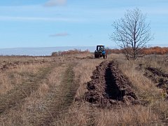 По количеству компенсационного лесовосстановления Саратовская область занимает второе место в России