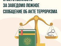 За заведомо ложные сообщения о возможных терактах можно лишиться не только денег, но и свободы 