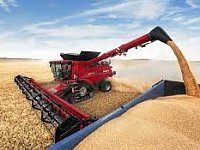 Зерновые и зернобобовые культуры в районе обмолочены на 72,7%