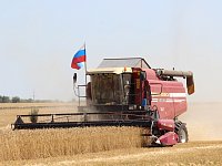 Уборочная страда набирает обороты!