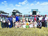 Валовой сбор зерновых и зернобобовых культур в области приближается к 800 тысячам тонн