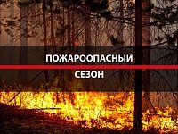 На территории Саратовской области со 2 апреля 2026 года устанавливается начало пожароопасного сезона