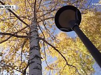 Около реабилитационного центра для участников СВО создан новый сквер