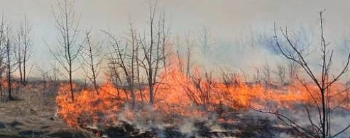 ПОЖАРООПАСНЫЙ СЕЗОН