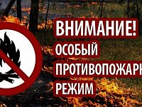 В области введён особый противопожарный режим: безопасность превыше всего