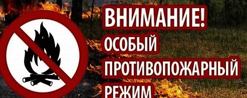 В области введён особый противопожарный режим: безопасность превыше всего