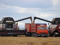 Хлебная страда в Ивантеевском районе близится к финишу!