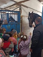 Экскурсия к лошадям