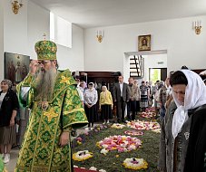 С Днём Святого Духа!