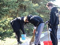 Чистота своими руками