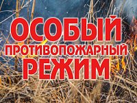 На территории Саратовской области на землях лесного фонда с 5 мая и до 31 октября 2026 года устанавливается особый противопожарный режим