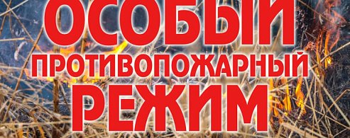 На территории Саратовской области на землях лесного фонда с 5 мая и до 31 октября 2026 года устанавливается особый противопожарный режим