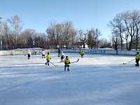Турнир по хоккею с шайбой "Доблесть России" прошел в Бартеневке