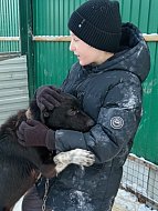 Новогоднее чудо для хвостатых 