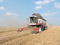 Аграрии Саратовской области намолотили свыше 460 тысяч тонн зерна