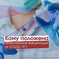 В связи с ростом заболеваемости коронавирусом и сезонным ОРВИ в регионе вводится обязательная вакцинация. Кому положено сделать прививку