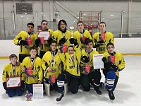 В Саратове прошел областной турнир юных хоккеистов