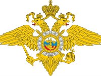 Мошенников стало больше, краж - меньше: отчет о работе полиции