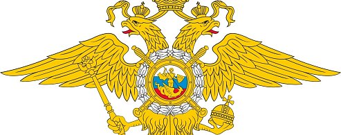 Мошенников стало больше, краж - меньше: отчет о работе полиции