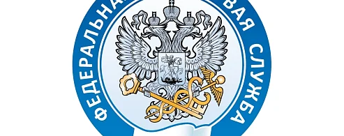 С начала года в отделениях МФЦ региона оказано более 12 тысяч услуг ФНС России