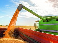 Аграрии Саратовской области собрали более 4 миллионов тонн зерна нового урожая