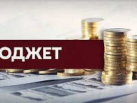 В рамках заседания Саратовской областной Думы депутаты поддержали поправки Правительства в региональный бюджет